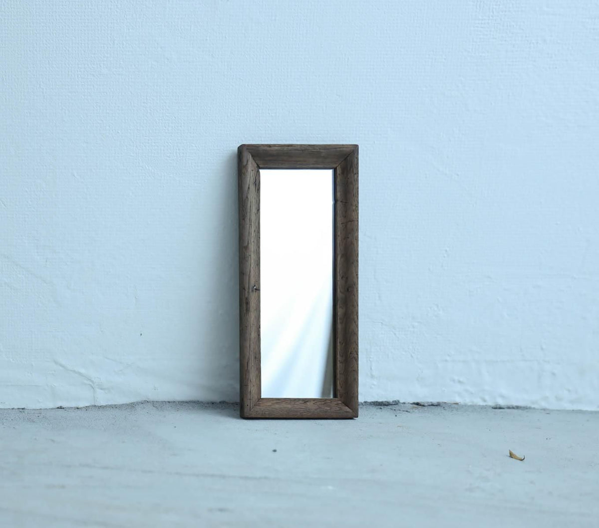 小さな栗のMIRROR-01
