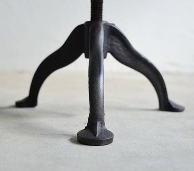 PLANTS CHAIR（BLACK）