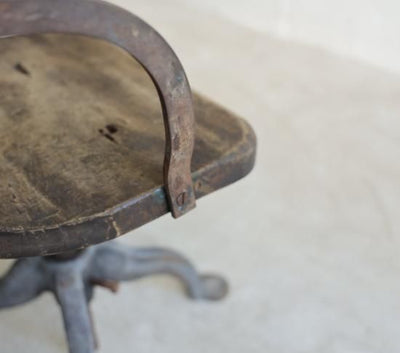PLANTS CHAIR