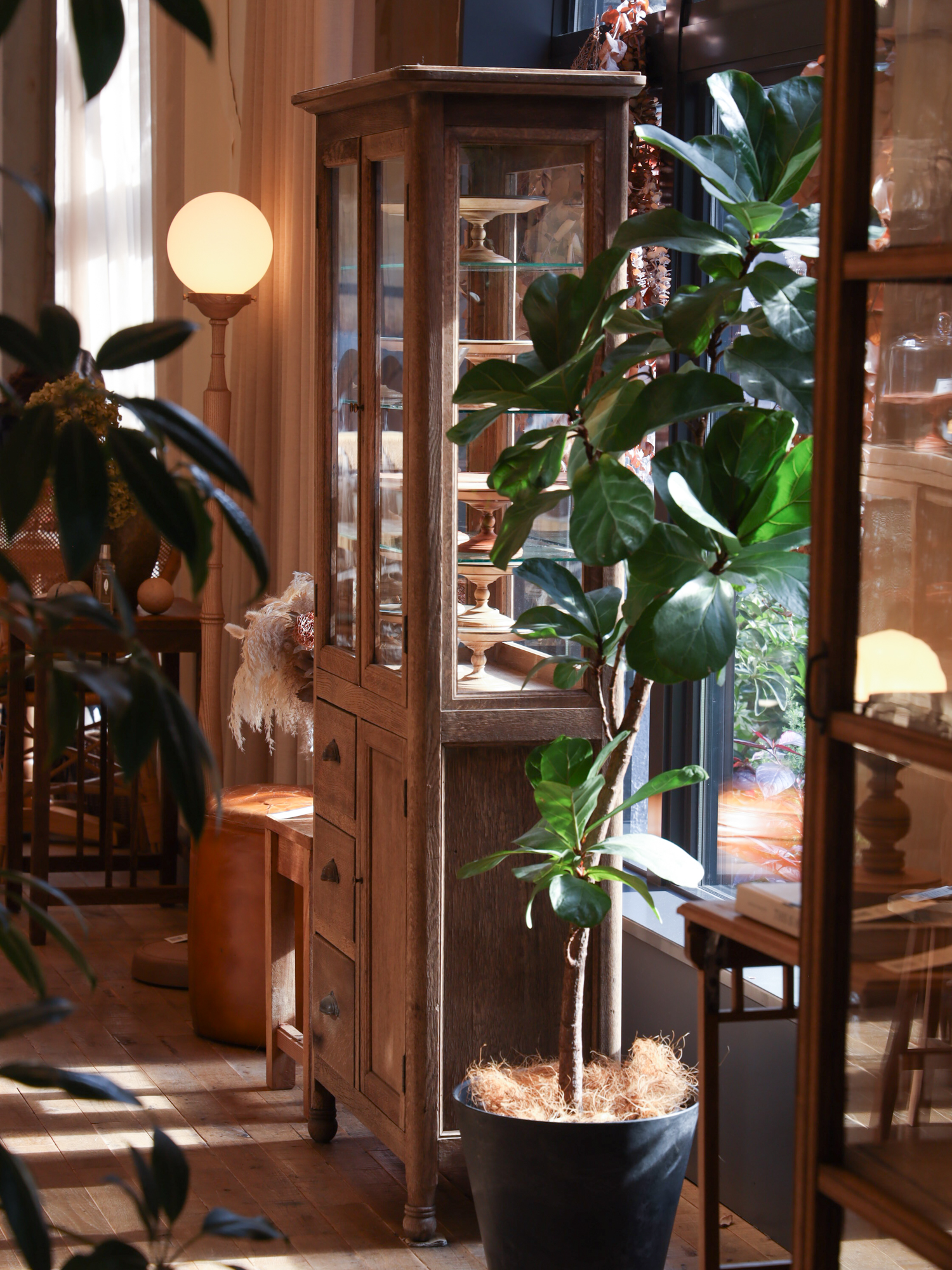 tealコラボイベント